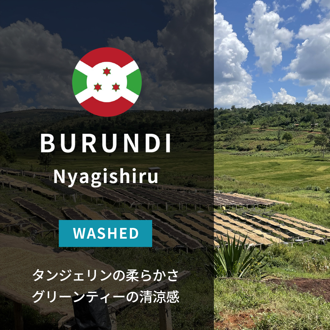Burundi Nyagishiru Washed(23/24年クロップ) | ORIGIN COUNTRIES for